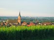 french village and wineyard in alsace