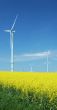 farm of windturbines close to rape field