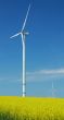 farm of windturbines close to rape field