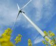 a windturbine into a rape field