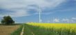 farm of windturbines close to rape field