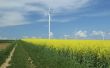 farm of windturbines close to rape field