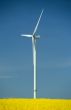 a windturbine into a rape field