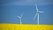 farm of winturbines close to rape field