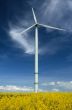 a windturbine into a rape field