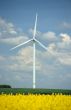 a windturbine into a rape field