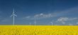 farm of windturbines close to rape field