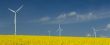 farm of windturbines close to rape field