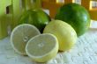 Lemon Citrus Fruit