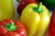 Bell Pepper Vegetable