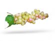 grape cluster with leave and shadow isolated over white background