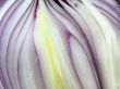  macro of cut slised red onion bulb