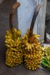 banana fruit for sale