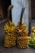 banana fruit for sale