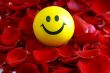 smile on Rose petals