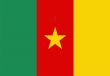 Flag Of Cameroon