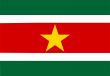 Flag Of Suriname