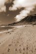 Footsteps in Sand sepia