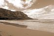 North Shore Beach Honolulu Hawaii sepia