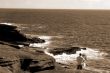 Artist painting at Makapu`u Beach Hawaii sepia