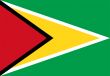 Guyana Flag