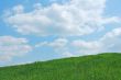 Sky And Grass