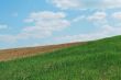 Sky And Grass