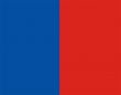 Paris Flag