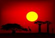 Africa sunset - vector