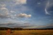 haymaking time