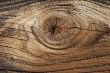 nob - wood texture