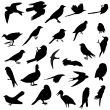 Birds silhouettes