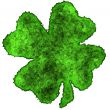 Shamrock burnt parchment