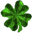 Shamrock burnt parchment