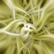 Abstract spiral background