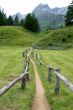 Wooden fence